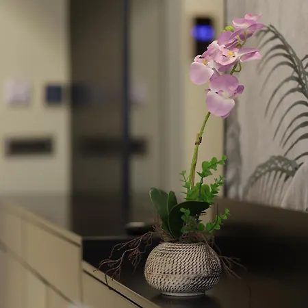 Szálloda Gremmy Boutique Tirana