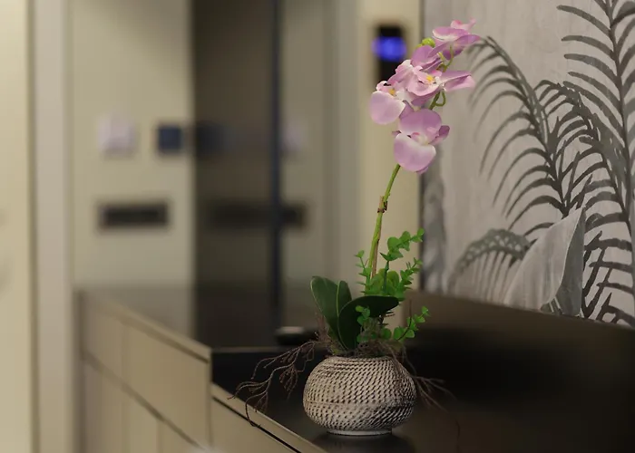 מלון Gremmy Boutique טיראנה