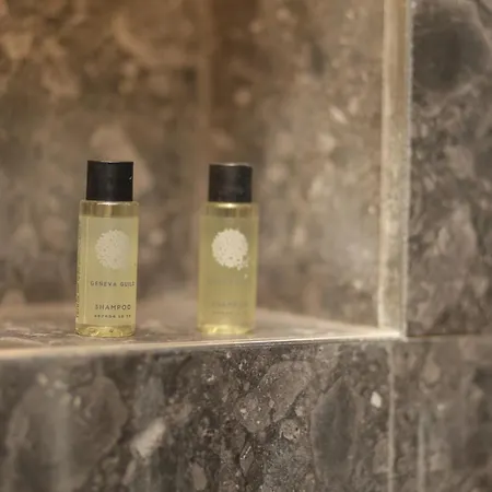 Gremmy Boutique 4* 地拉那